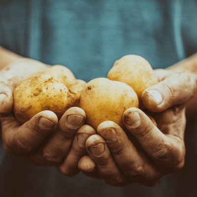 Ep. 18: Sustainable Spuds and Global Goals with Jolyn Rasmussen